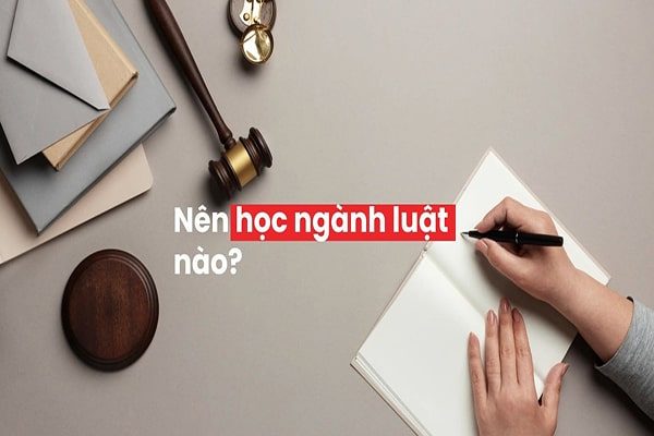 Nên học ngành luật nào hiện nay là tốt nhất?