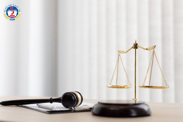 Các trường đào tạo luật kinh tế và cách tuyển sinh hệ từ xa