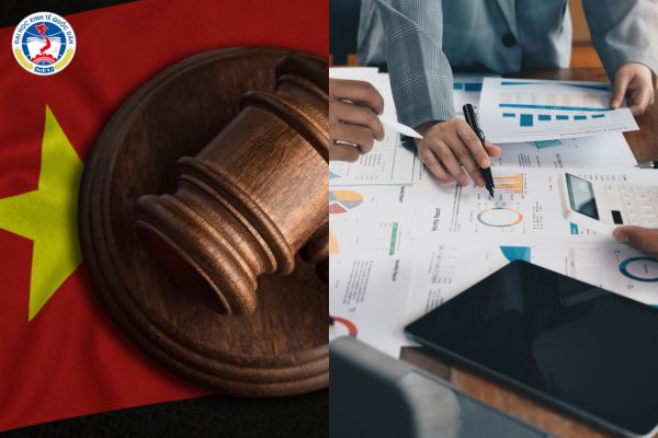 Giải đáp: Nên học luật kinh tế hay Quản trị kinh doanh?