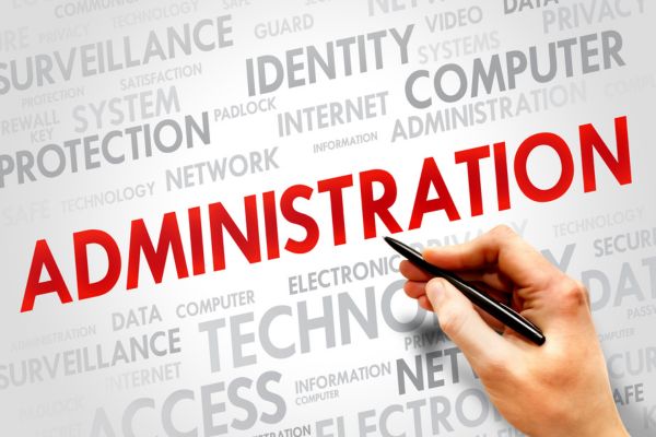 Vì sao ngành Quản trị kinh doanh không ngừng “thu hút” Gen Z?