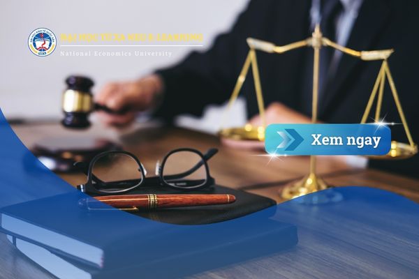 Kỹ năng cần thiết cho ngành Luật Kinh tế