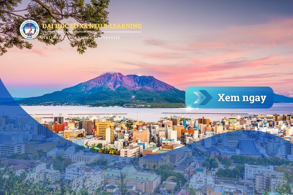 Làm việc tại Nhật có cần bằng đại học không? Tìm hiểu điều kiện và cơ hội dành cho người Việt