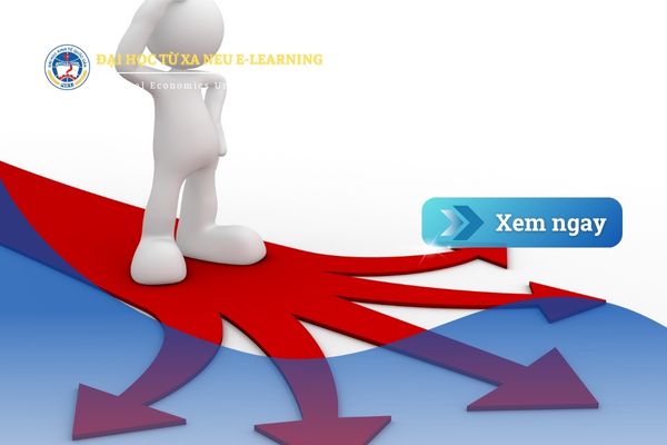 Nên chọn hướng đi nào cho tương lai? So sánh 4 lựa chọn phổ biến hiện nay