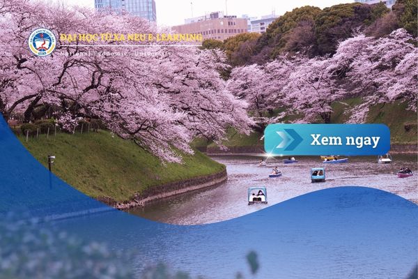 Chương trình Đào tạo cử nhân từ xa NEU E-Learning tại Nhật Bản – Giải pháp cho Người Việt