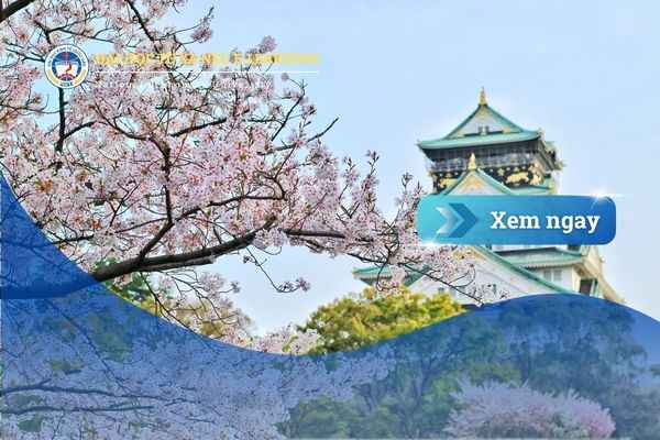 Học quản trị doanh nghiệp online – Cơ hội sở hữu văn bằng tương đương chính quy ngay tại Nhật Bản