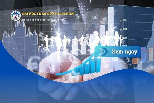 Ngành Quản trị Kinh doanh nên học trường nào để vững kiến thức, vững tương lai