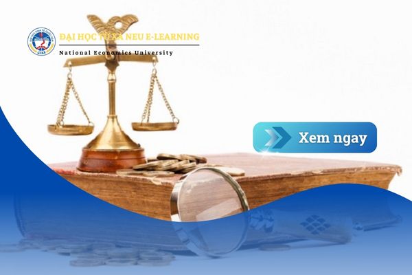 Sinh viên Luật kinh tế mới ra trường làm việc gì? Có dễ xin việc không?