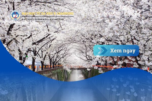 Ngành Quản trị kinh doanh ở Nhật: Lộ trình học và cơ hội nghề nghiệp cho du học sinh thời công nghệ số