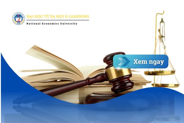 Người bận rộn chọn Luật Kinh Tế từ xa: Giải pháp học tập tối ưu cho người đi làm hiện đại