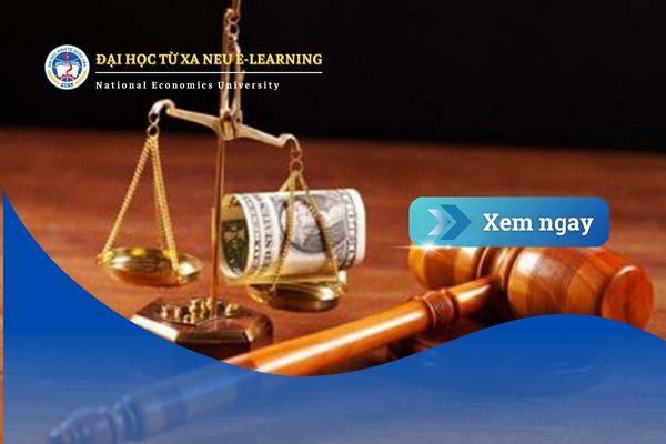 Bằng Luật Kinh tế hệ từ xa có được công nhận như chính quy? Giải đáp từ góc nhìn thực tế